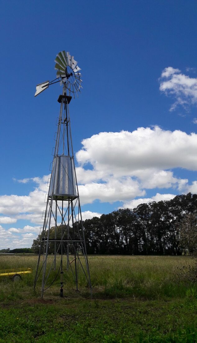 Molino en el campo