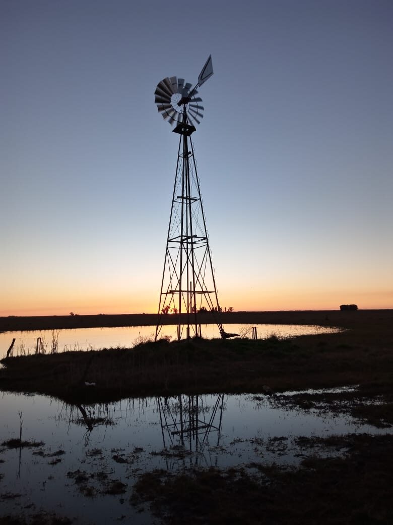 Molino al atardecer